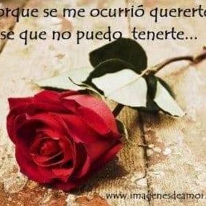 Meet your Posher, Danilo